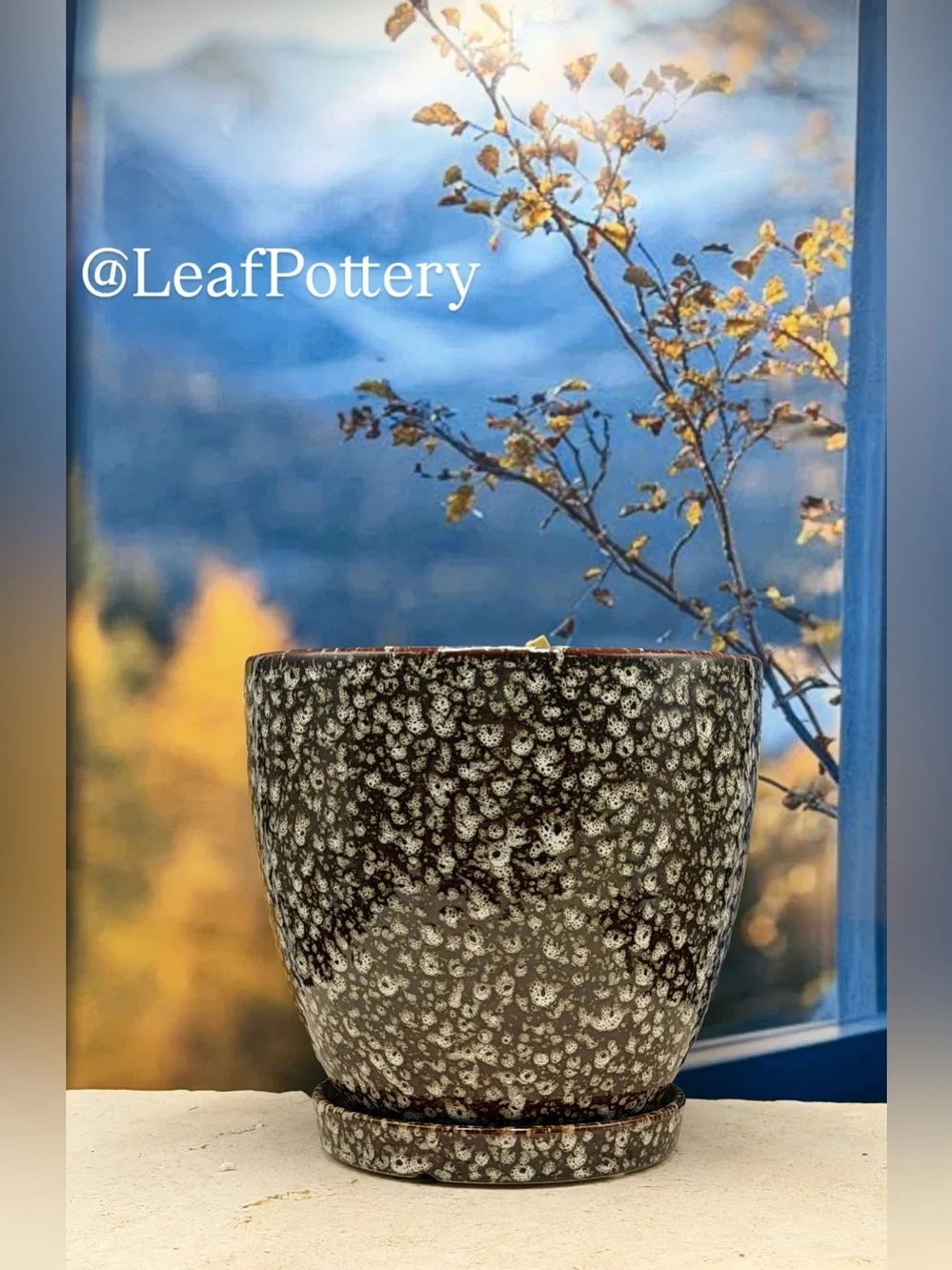 8 Inch Ceramic Planter with Attached Saucer & Drainage Hole | Speckled Brown Pot